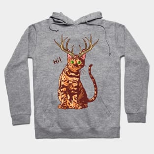 Antler Cat Hoodie